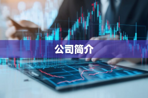 公司简介