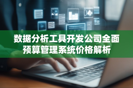 数据分析工具开发公司全面预算管理系统价格解析