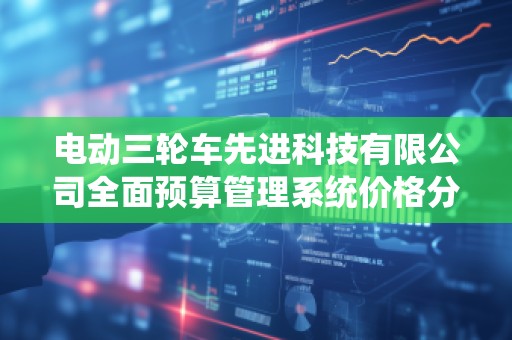 电动三轮车先进科技有限公司全面预算管理系统价格分析