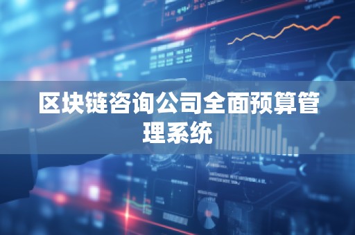区块链咨询公司全面预算管理系统