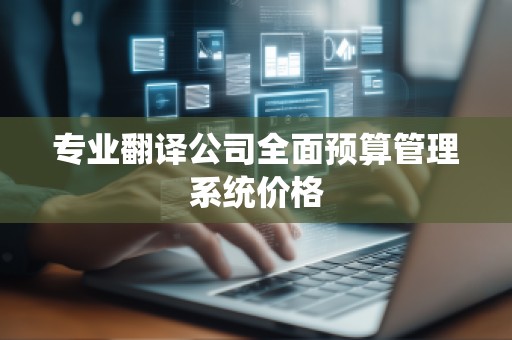 专业翻译公司全面预算管理系统价格