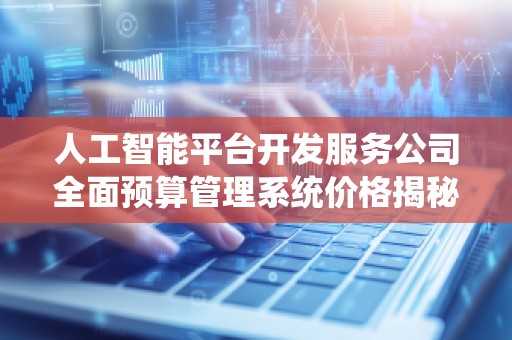 人工智能平台开发服务公司全面预算管理系统价格揭秘