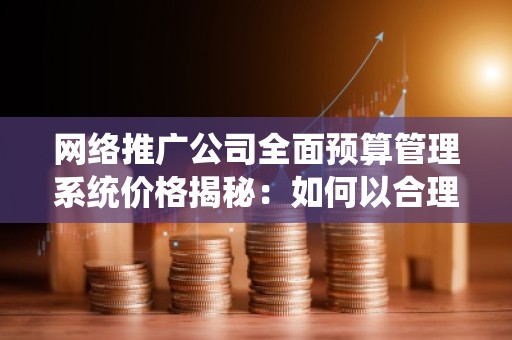 网络推广公司全面预算管理系统价格揭秘：如何以合理成本提升营销效果