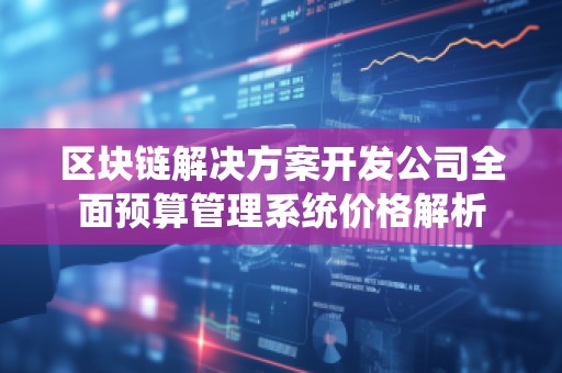 区块链解决方案开发公司全面预算管理系统价格解析