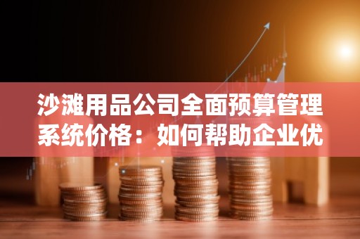 沙滩用品公司全面预算管理系统价格：如何帮助企业优化成本，提升效益