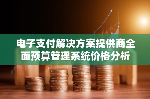 电子支付解决方案提供商全面预算管理系统价格分析
