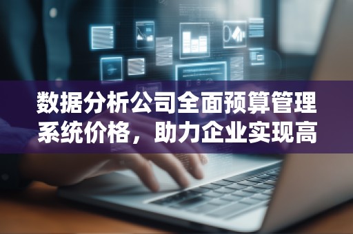 数据分析公司全面预算管理系统价格，助力企业实现高效决策