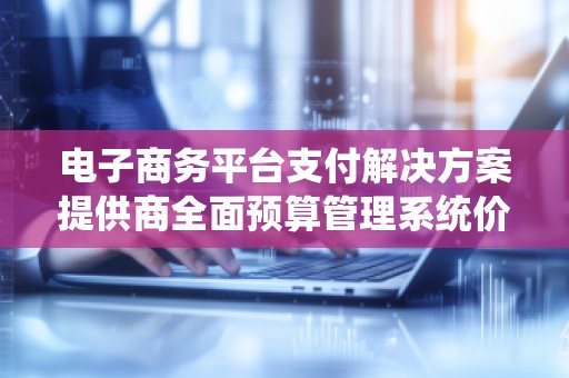 电子商务平台支付解决方案提供商全面预算管理系统价格——提升效率，精准掌控预算