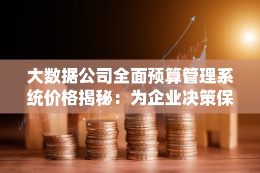 大数据公司全面预算管理系统价格揭秘：为企业决策保驾护航