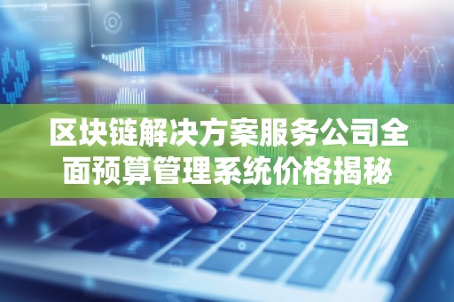 区块链解决方案服务公司全面预算管理系统价格揭秘