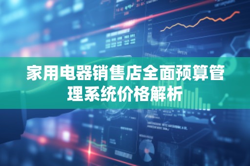 家用电器销售店全面预算管理系统价格解析