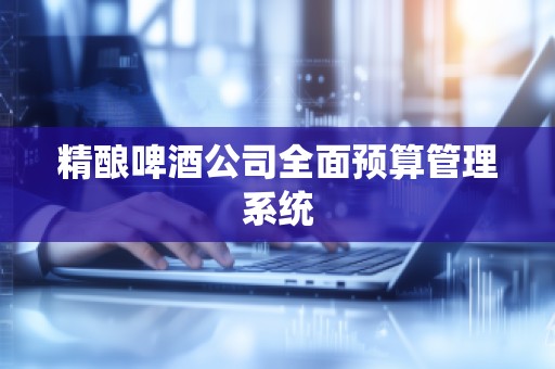 精酿啤酒公司全面预算管理系统