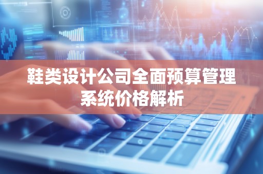 鞋类设计公司全面预算管理系统价格解析