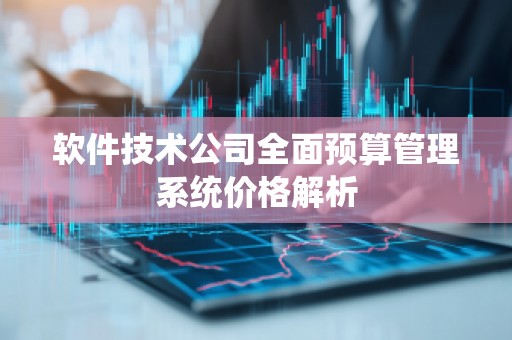 软件技术公司全面预算管理系统价格解析