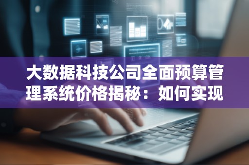 大数据科技公司全面预算管理系统价格揭秘：如何实现企业财务管理的智能化与高效化