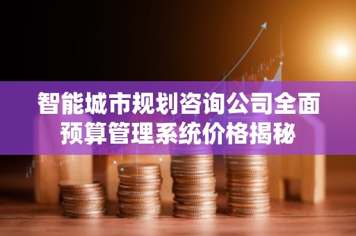 智能城市规划咨询公司全面预算管理系统价格揭秘