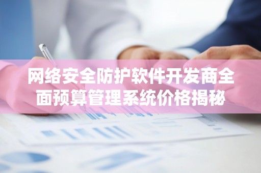 网络安全防护软件开发商全面预算管理系统价格揭秘
