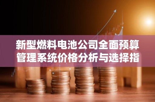 新型燃料电池公司全面预算管理系统价格分析与选择指南
