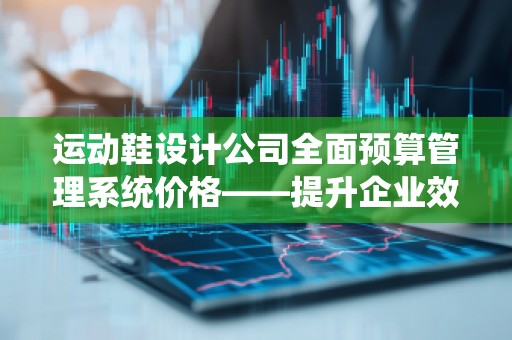 运动鞋设计公司全面预算管理系统价格——提升企业效益的关键工具