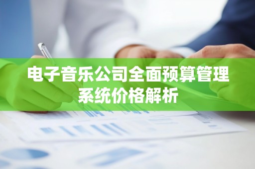 电子音乐公司全面预算管理系统价格解析