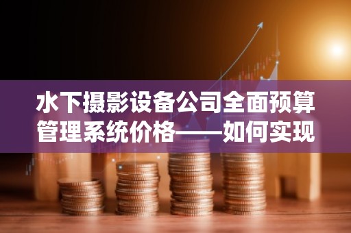 水下摄影设备公司全面预算管理系统价格——如何实现精准预算与成本控制