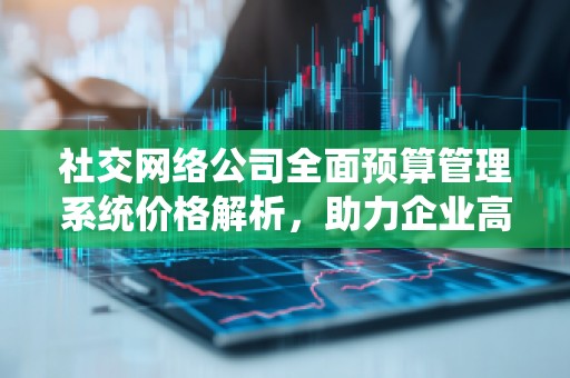 社交网络公司全面预算管理系统价格解析，助力企业高效管理财务