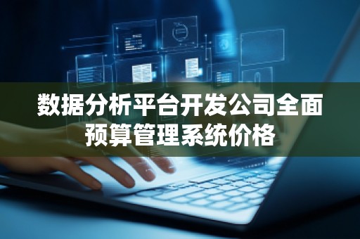 数据分析平台开发公司全面预算管理系统价格