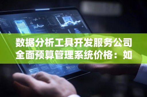 数据分析工具开发服务公司全面预算管理系统价格：如何为企业降低成本、提高效率？