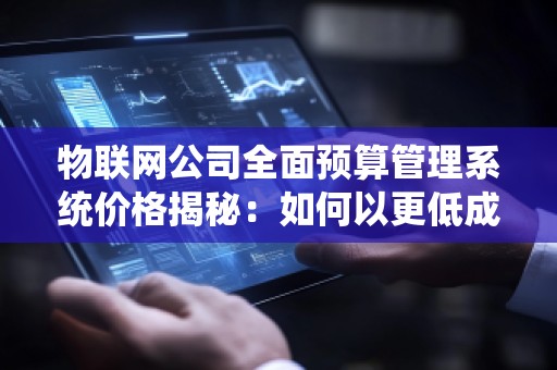 物联网公司全面预算管理系统价格揭秘：如何以更低成本实现高效管控