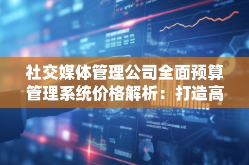 社交媒体管理公司全面预算管理系统价格解析：打造高效管理的核心利器