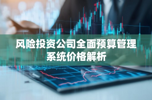 风险投资公司全面预算管理系统价格解析