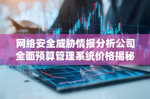 网络安全威胁情报分析公司全面预算管理系统价格揭秘