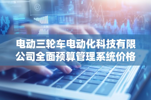 电动三轮车电动化科技有限公司全面预算管理系统价格揭秘