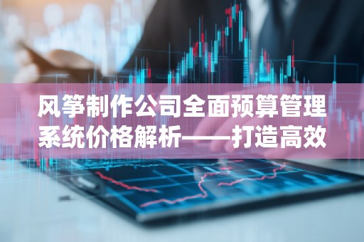 风筝制作公司全面预算管理系统价格解析——打造高效财务管理新模式