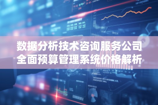 数据分析技术咨询服务公司全面预算管理系统价格解析