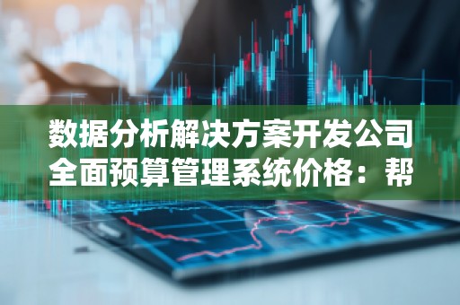 数据分析解决方案开发公司全面预算管理系统价格:帮助企业高效管控预算,提升决策质量