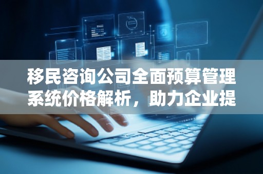 移民咨询公司全面预算管理系统价格解析,助力企业提升管理效率