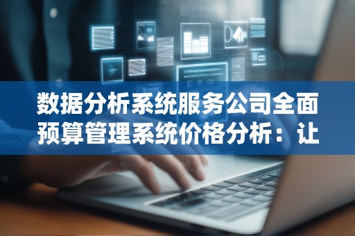 数据分析系统服务公司全面预算管理系统价格分析:让企业管理变得更加高效