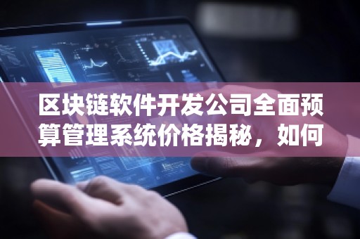 区块链软件开发公司全面预算管理系统价格揭秘，如何实现企业财务智能化？