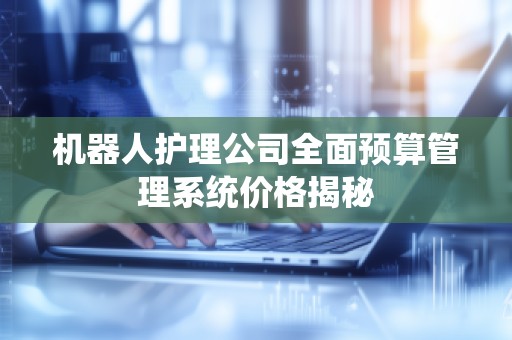 机器人护理公司全面预算管理系统价格揭秘