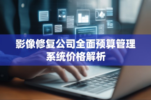 影像修复公司全面预算管理系统价格解析