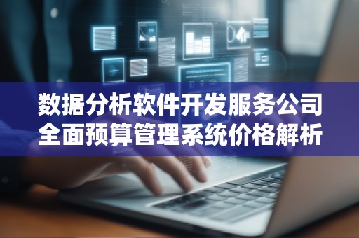 数据分析软件开发服务公司全面预算管理系统价格解析