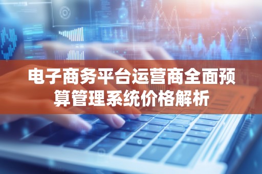 电子商务平台运营商全面预算管理系统价格解析