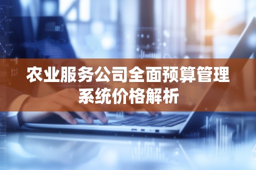 农业服务公司全面预算管理系统价格解析