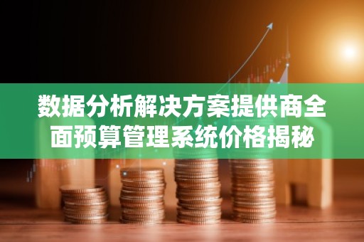 数据分析解决方案提供商全面预算管理系统价格揭秘
