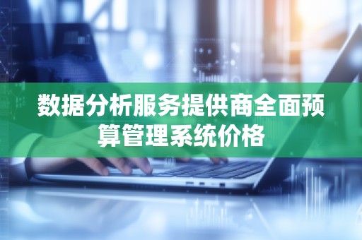 数据分析服务提供商全面预算管理系统价格