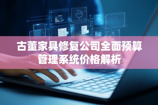 古董家具修复公司全面预算管理系统价格解析