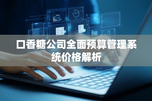 口香糖公司全面预算管理系统价格解析