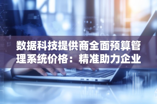 数据科技提供商全面预算管理系统价格：精准助力企业财务管理