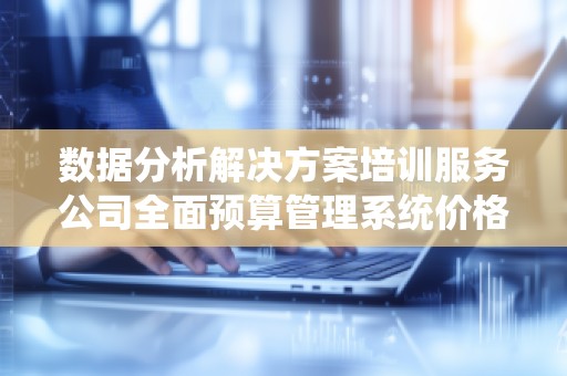 数据分析解决方案培训服务公司全面预算管理系统价格分析